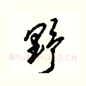 野