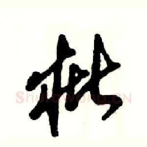 枇