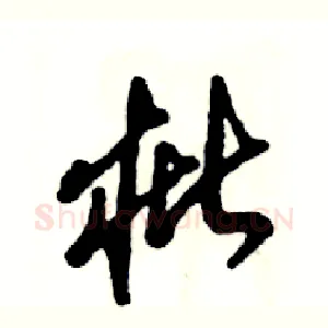 枇