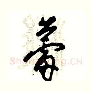 蕾