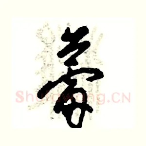 蕾