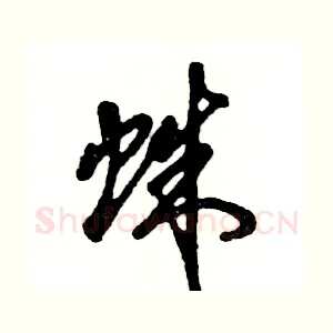 蛛