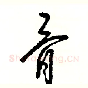 骨