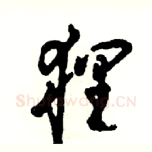 狸