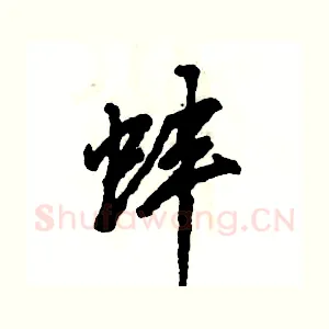 蚌