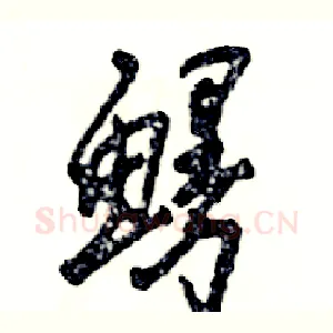 鳗
