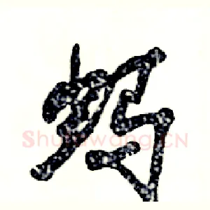 蚂