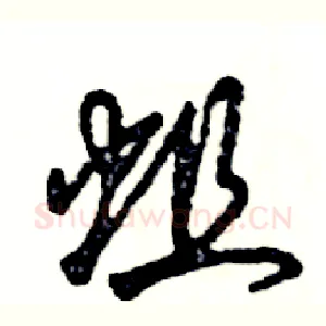 蛆
