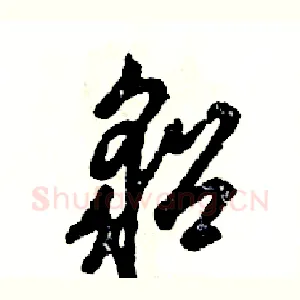貂