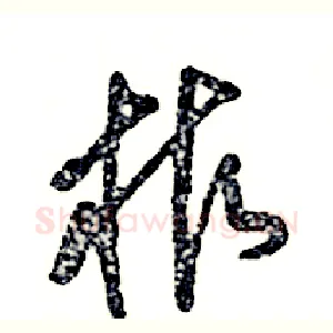 柞