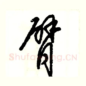 臂
