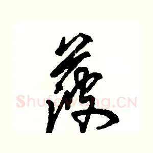 菠