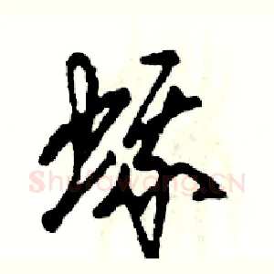 蛾