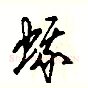 蛾