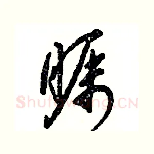 瞩