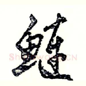 鲢
