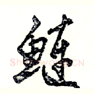 鲢