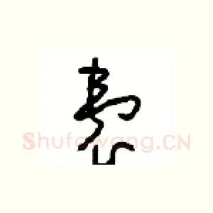 囊