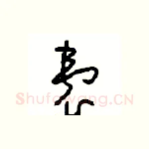 囊