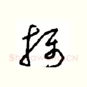 摄