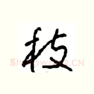 枝