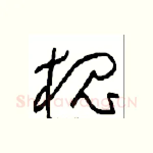 槐