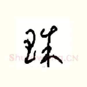 珠