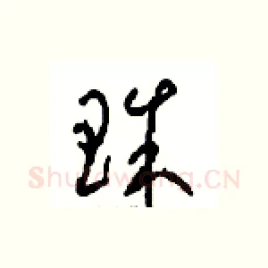 珠