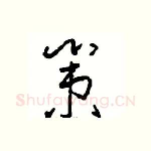 策