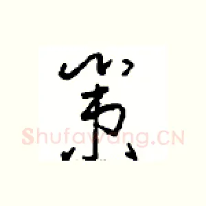 策