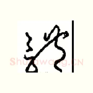 體