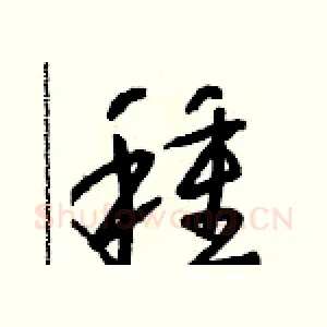 種