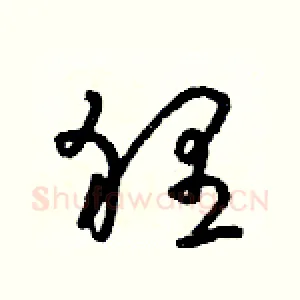 貍