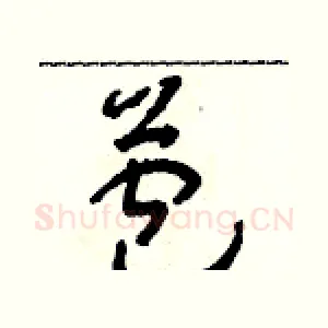 苞