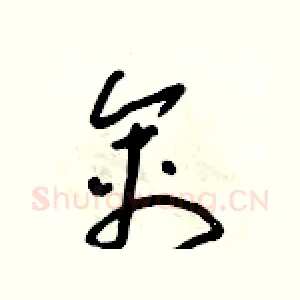 禽
