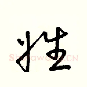 姓