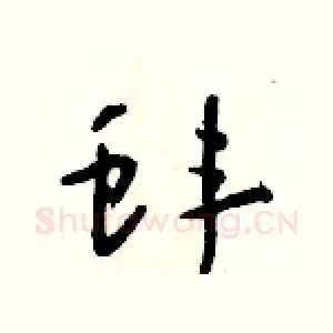 蚌