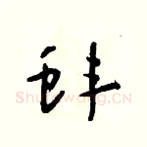 蚌