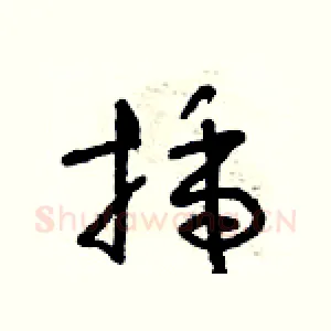 插