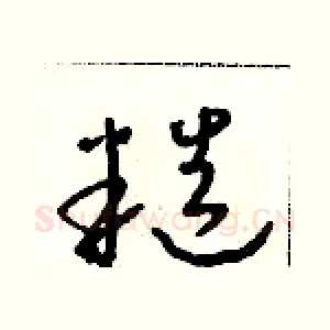糙