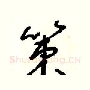 策