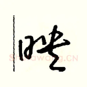 映