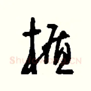 楯