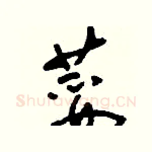荽