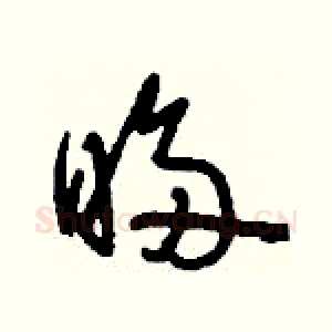 眵