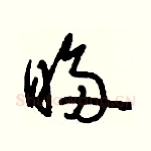 眵
