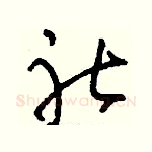 社