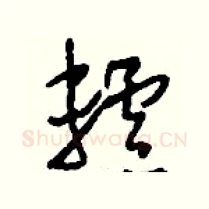 轤