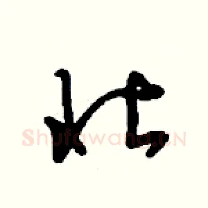 壮