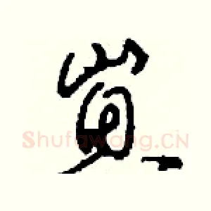 崽